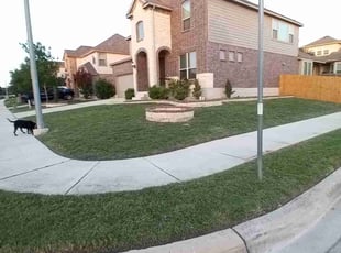 Melinda M.'s Lawn Service service result