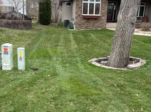 Jonathan B.'s Grass Cutting service result