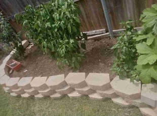 Weeding by Manuel Solis Soto for Veena D. in Plano, TX