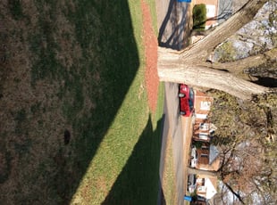 Leaf Removal by Christopher Richardson Sr for Marletha M. in Florissant, MO