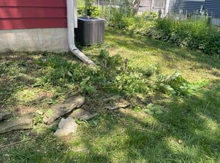 Weeding by Jess June for Anna K. in Madison, WI