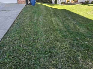 Sarah K.'s Lawn Care service result
