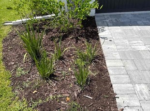 Weeding by Makenly Stainles for Lindsay B. in Jacksonville, FL
