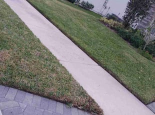 Bush Trimming by Delson Auguste for Vignesh P. in Jacksonville, FL