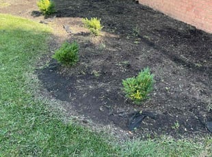 Weeding by Alex Sanner for Brian . in Blacklick, OH
