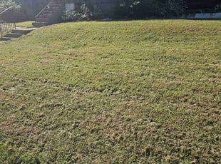 Cynthia W.'s Yard Cutting service result