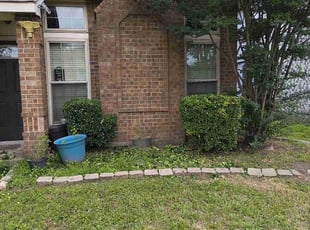 Bush Trimming by Roger Simmons for Stacey L. in Mesquite, TX