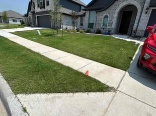 Krystal S.'s Lawn Mowing service result