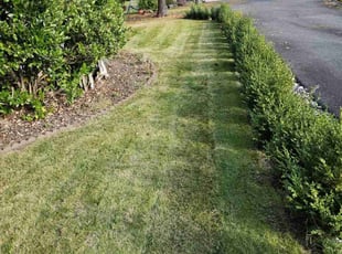 Andrew L.'s Lawn Care service result