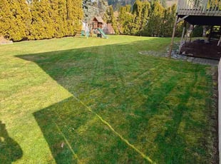 Joseph M.'s Yard Cutting service result
