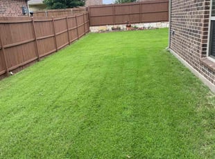 Cleanups by Melvin Sanchez for Chessly N. in McKinney, TX