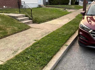 Donavan M.'s Lawn Maintenance service result
