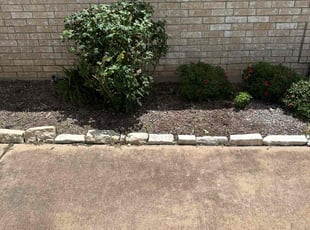 Bush Trimming by Juan Gaeta for Ashley S. in Georgetown, TX