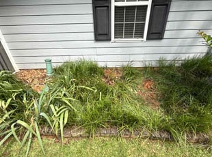 Weeding by B J for Cheryl A. in Griffin, GA