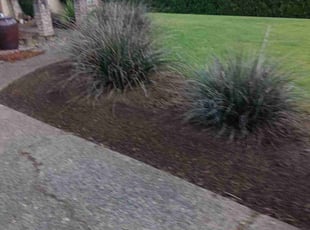 Weeding by Nick Girtz for Toni O. in Boring, OR