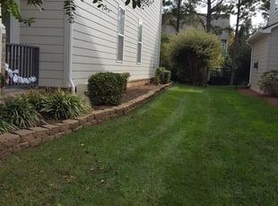 Bush Trimming by Christina duke for Michael G. in Matthews, NC