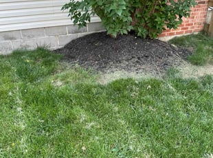 Weeding by Austin Baker for Lisa M. in Columbus, OH