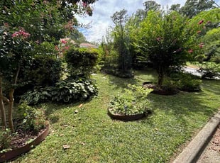 Jackson V.'s Grass Cutting service result