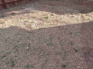Cleanups by Crystal Rodriguez for Sam J. in Reno, NV
