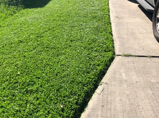 MaryAnne A.'s Lawn Mowing service result