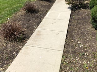 Weeding by Donald Prentiss for Hari D. in Blacklick, OH