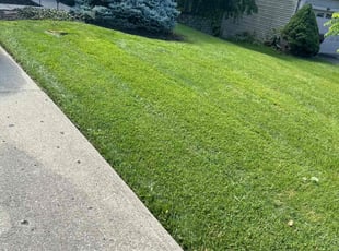 William E.'s Lawn Service service result
