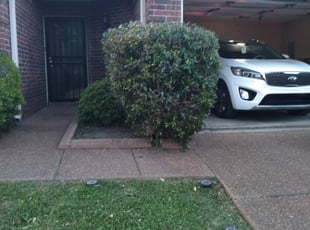 Bush Trimming by Robert Beals for Benjamin P. in Memphis, TN