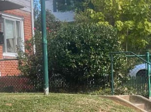 Bush Trimming by Brandon Weems for Tama T. in East Riverdale, MD