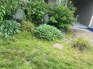 Weeding by Chris Gilliam for Dennis S. in Newport News, VA