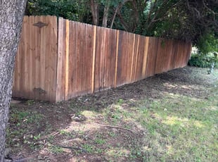 Cleanups by Victor/ Madeline Ramirez for Ron M. in Arlington, TX
