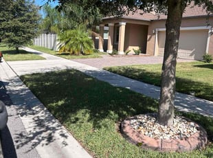 Anne L.'s Lawn Service service result