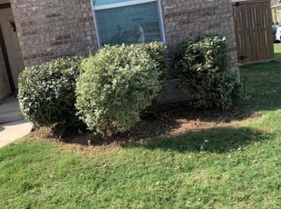 Bush Trimming by guadalupe renteria for Shavar R. in Jarrell, TX