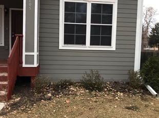 Bush Trimming by Thomas Cavanaugh for Dega A. in Minneapolis, MN