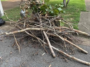 Cleanups by Nathan Deacon for Kerri M. in Memphis, TN