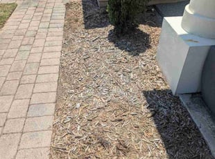 Weeding by Robert Dixon for King S. in Kissimmee, FL
