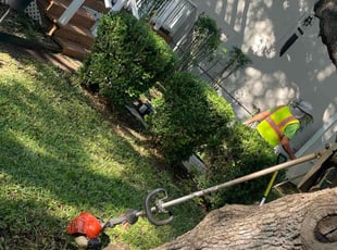Bush Trimming by Israel Valle for Gwen F. in San Antonio, TX