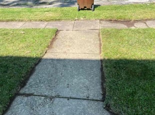 Candice S.'s Lawn Mowing service result