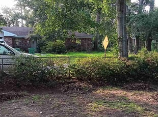 Bush Trimming by Rafael Parker for David G. in Slidell, LA