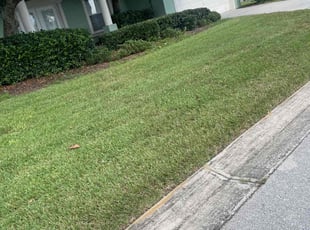 Cleanups by Hanif Ibn King for Arthur M. in Lakeland, FL