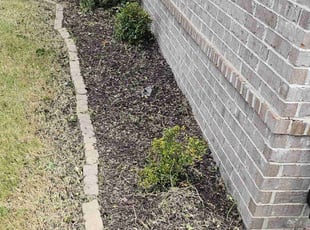 Weeding by Tyrone Blaylock for Richard W. in Memphis, TN