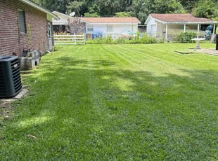Sara R.'s Lawn Mowing service result