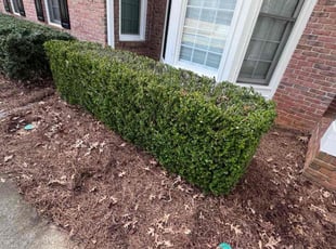Bush Trimming by Michael Beverly for Gaohao L. in Suwanee, GA