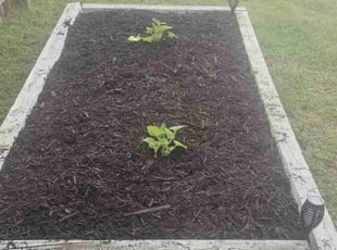 Mulching by Joseph Durgin for Travis M. in North Charleston, SC