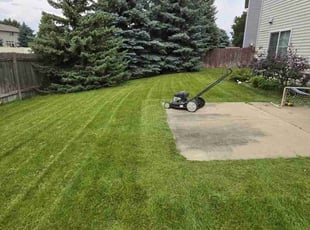 Evelyn H.'s Lawn Mowing service result