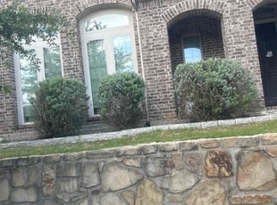 Bush Trimming by Dante Pressley for xin l. in Allen, TX