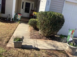 Bush Trimming by Ronald Martin for Eliza R. in Charlotte, NC