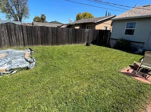 Daniel L.'s Lawn Care service result