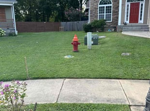 Monica P.'s Lawn Mowing Service service result