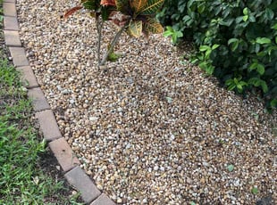 Weeding by Thomas Niederhelman for Alex D. in Brooksville, FL