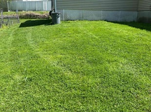Michelle D.'s Lawn Mowing service result